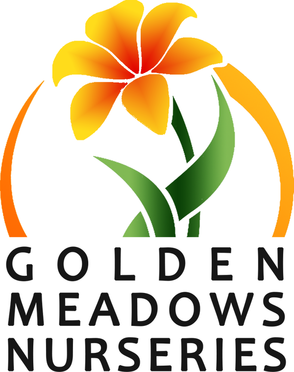 Golden Meadows Nursery(PTY)LTD