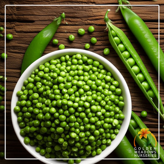 Peas 'Greenfeast'